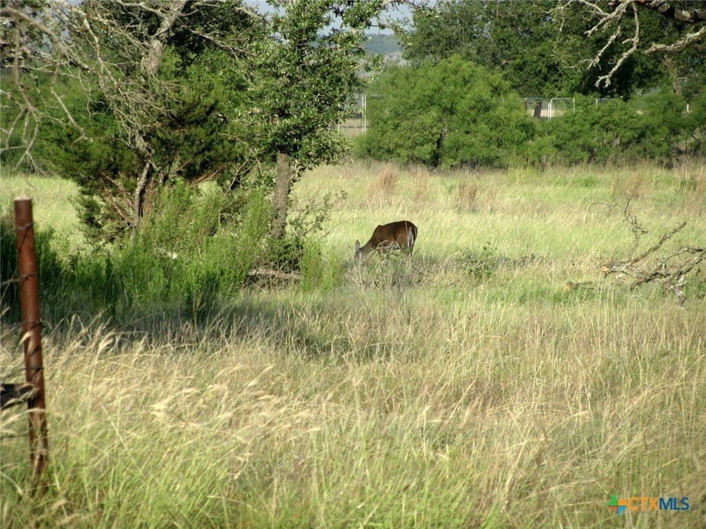 50.24 acres in Hamilton County - photo 27