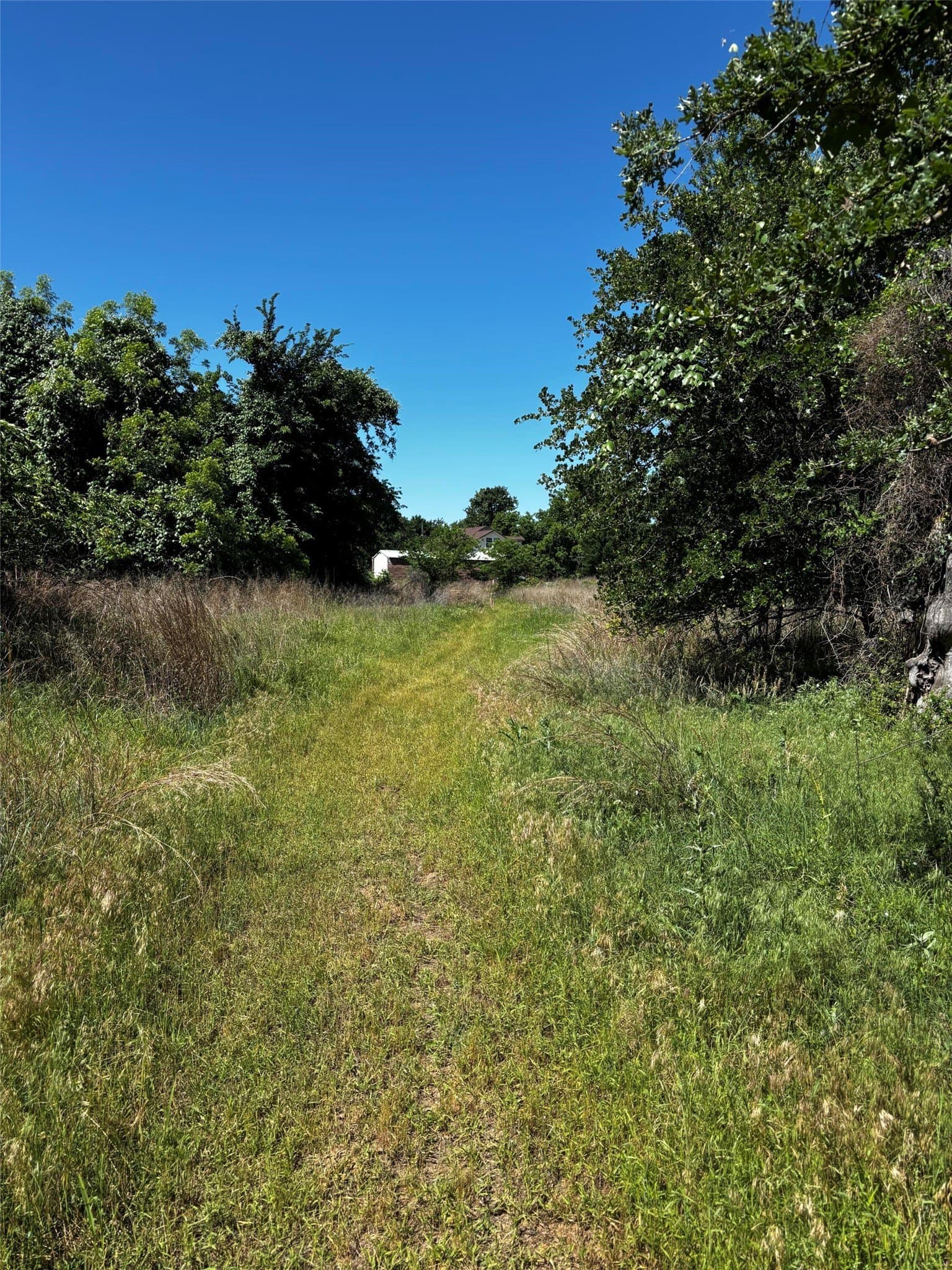 2 acres in Parker County - photo 6