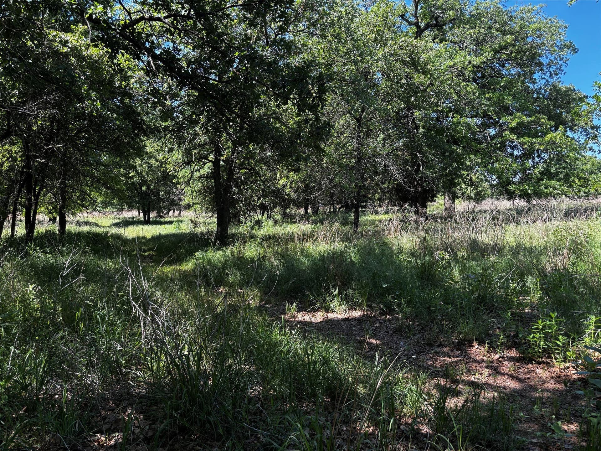 2 acres in Parker County - photo 4