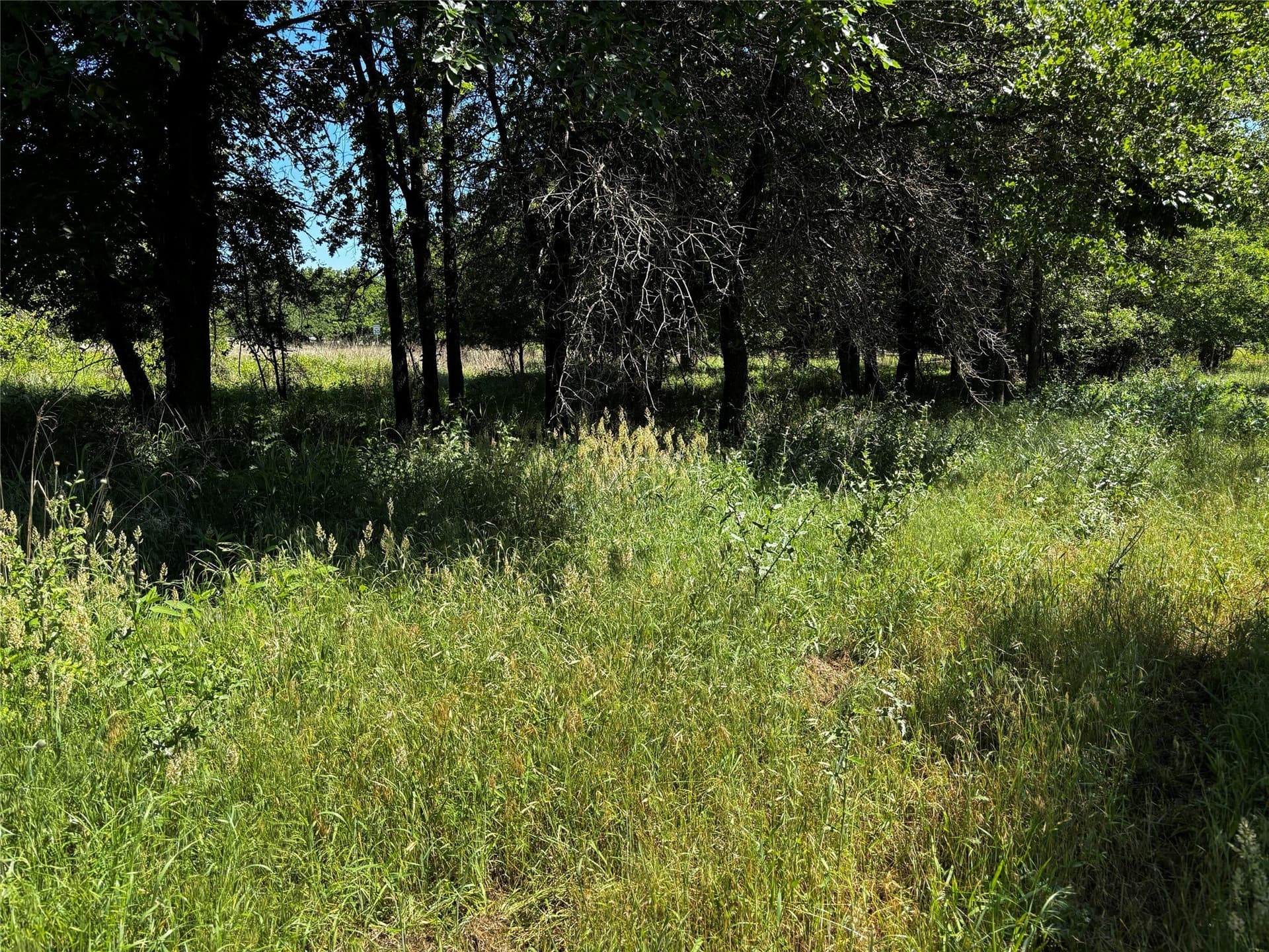 2 acres in Parker County - photo 5