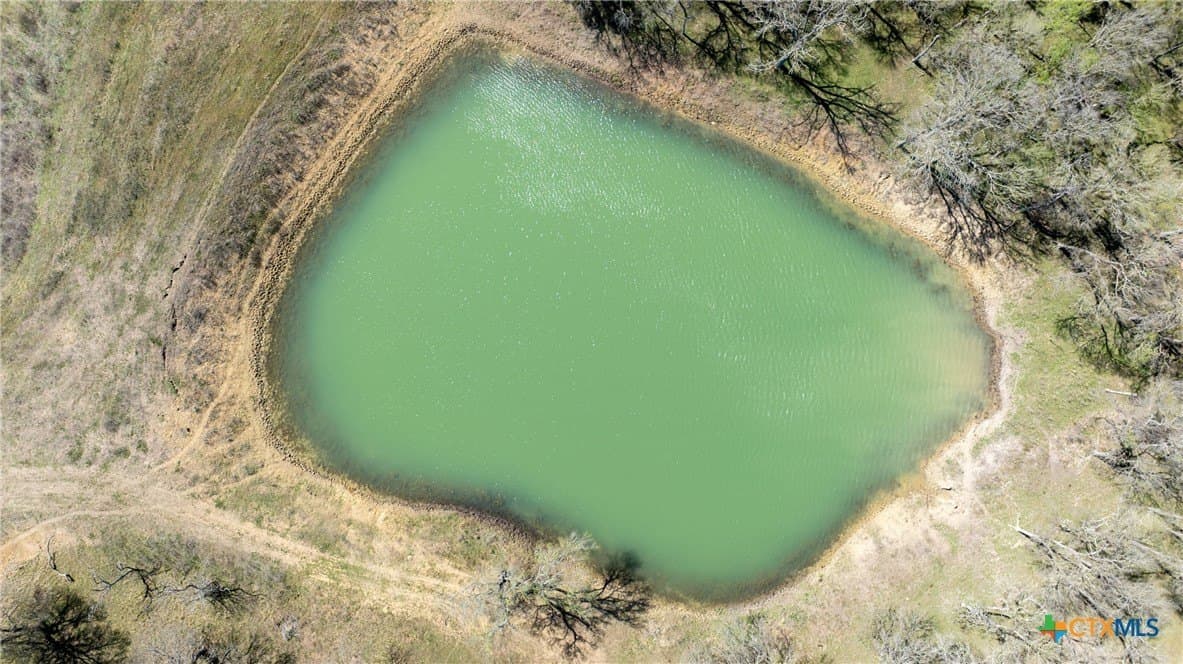 110.7 acres in Milam County gallery image 4