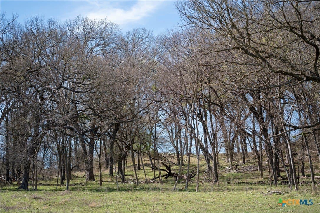 110.7 acres in Milam County featured view