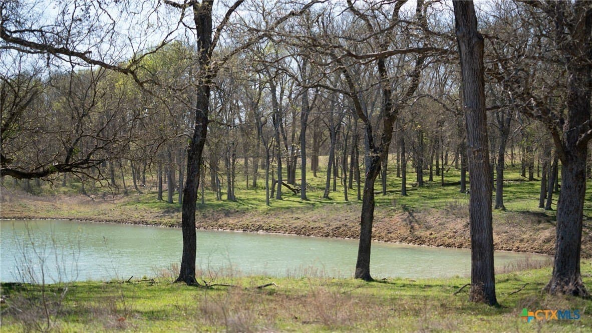 110.7 acres in Milam County gallery image 3