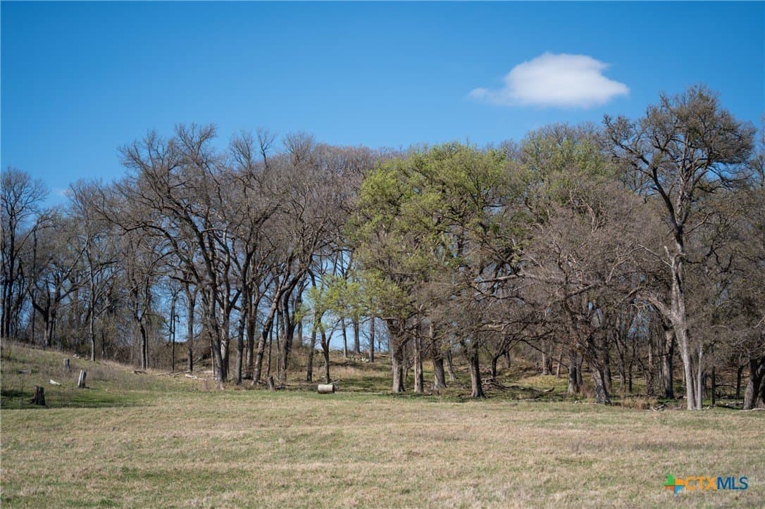 110.7 acres in Milam County - photo 39