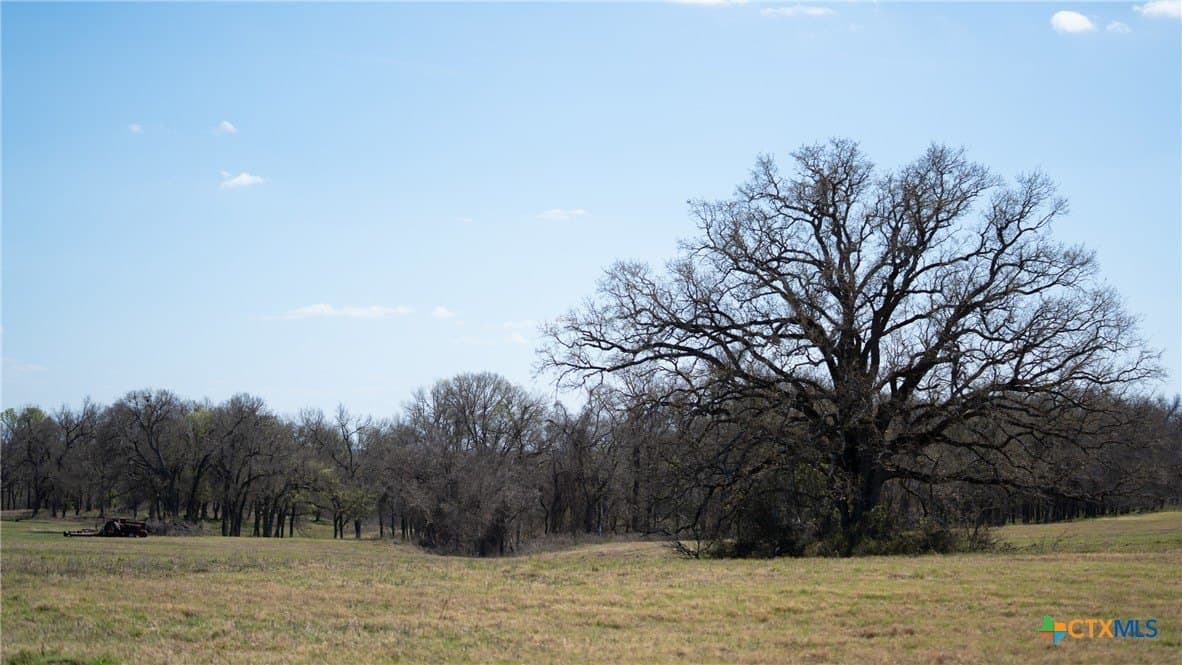 110.7 acres in Milam County - photo 36