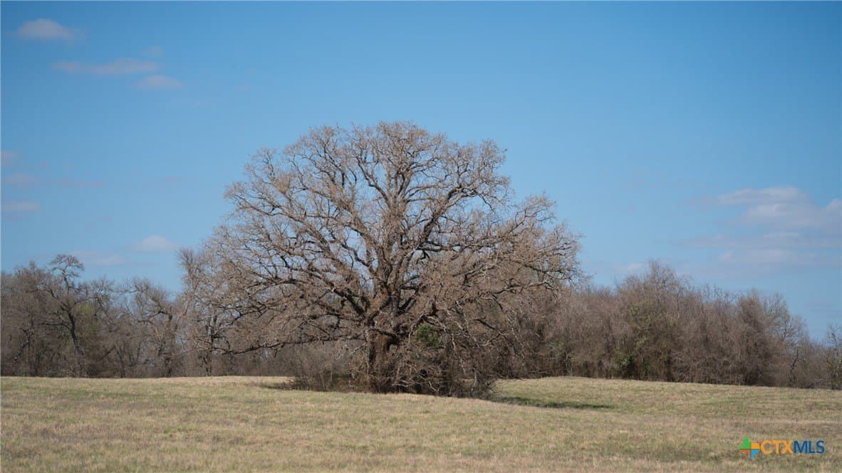 110.7 acres in Milam County - photo 34