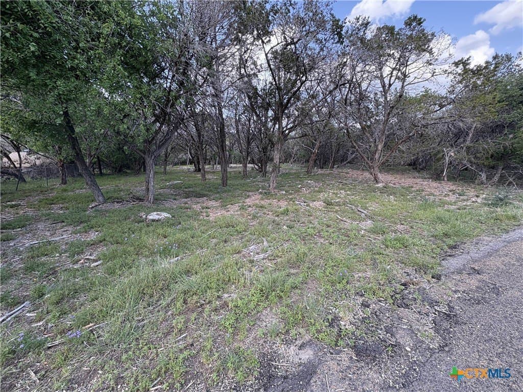0.37 acres in Bell County gallery image 4