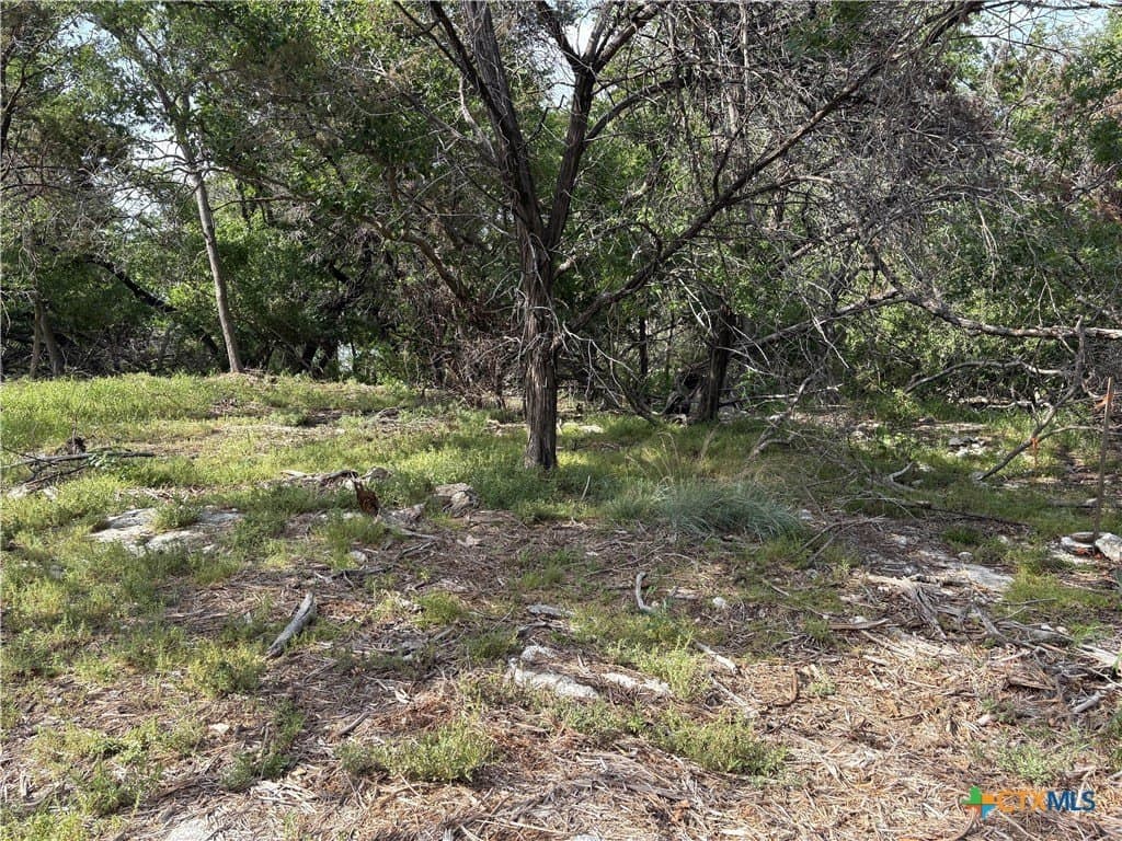 0.37 acres in Bell County - photo 12
