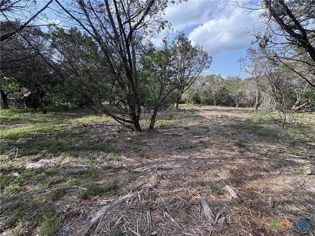 0.37 acres in Bell County - photo 6