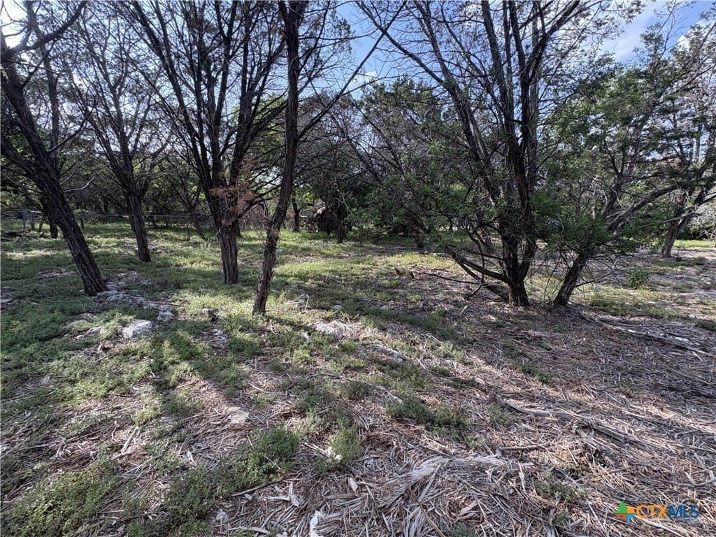 0.37 acres in Bell County - photo 10