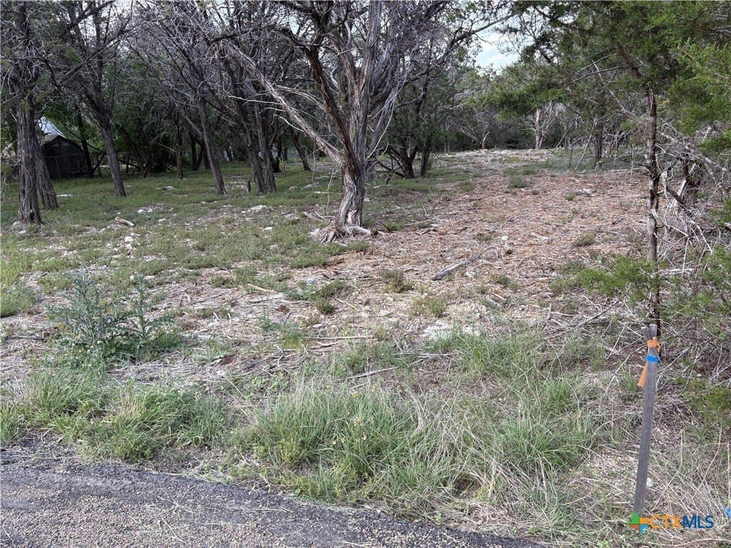 0.37 acres in Bell County - photo 13