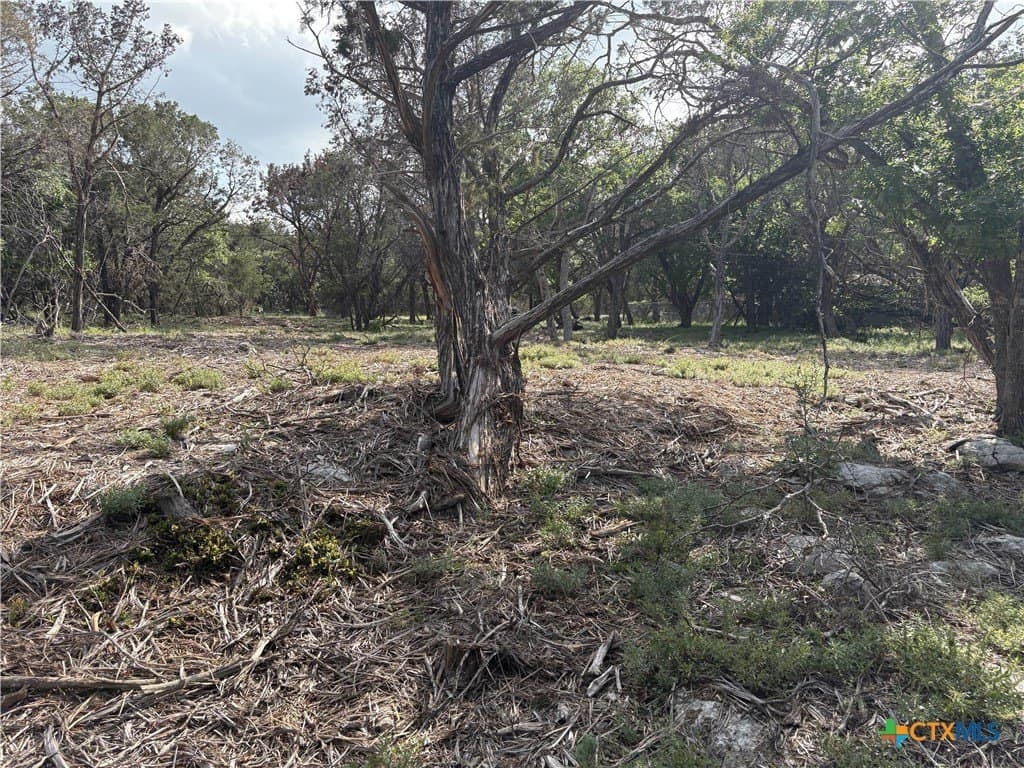 0.37 acres in Bell County - photo 11