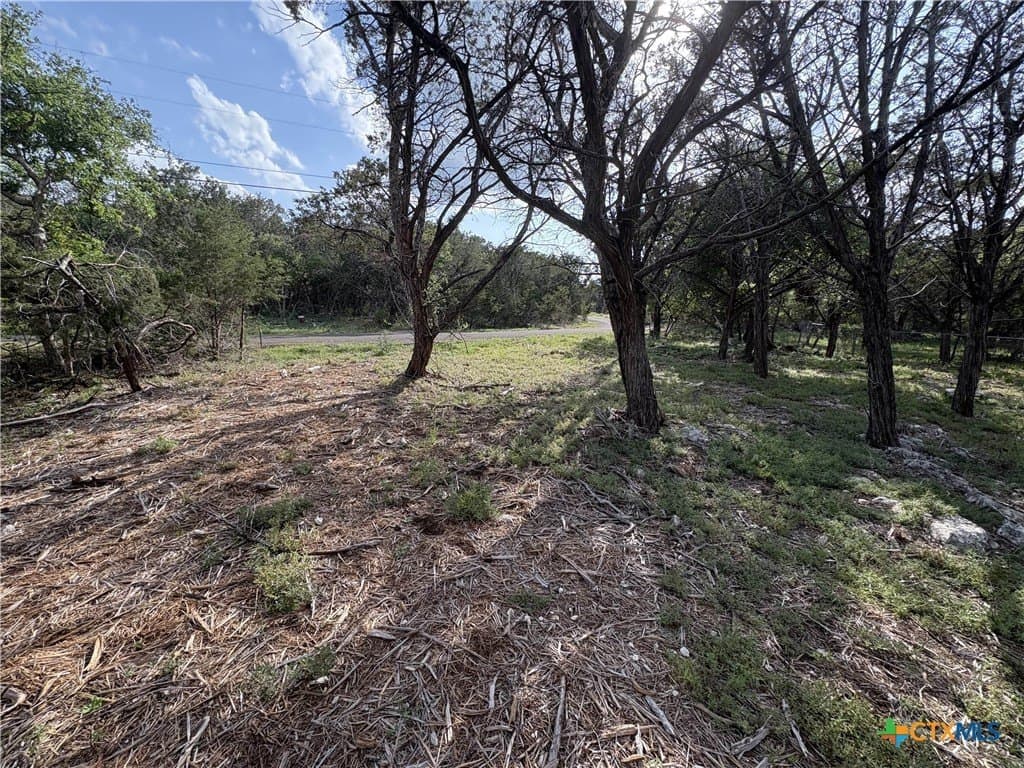 0.37 acres in Bell County - photo 7