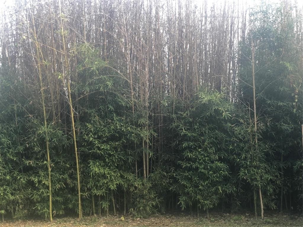 0.28 acres in Burnet County