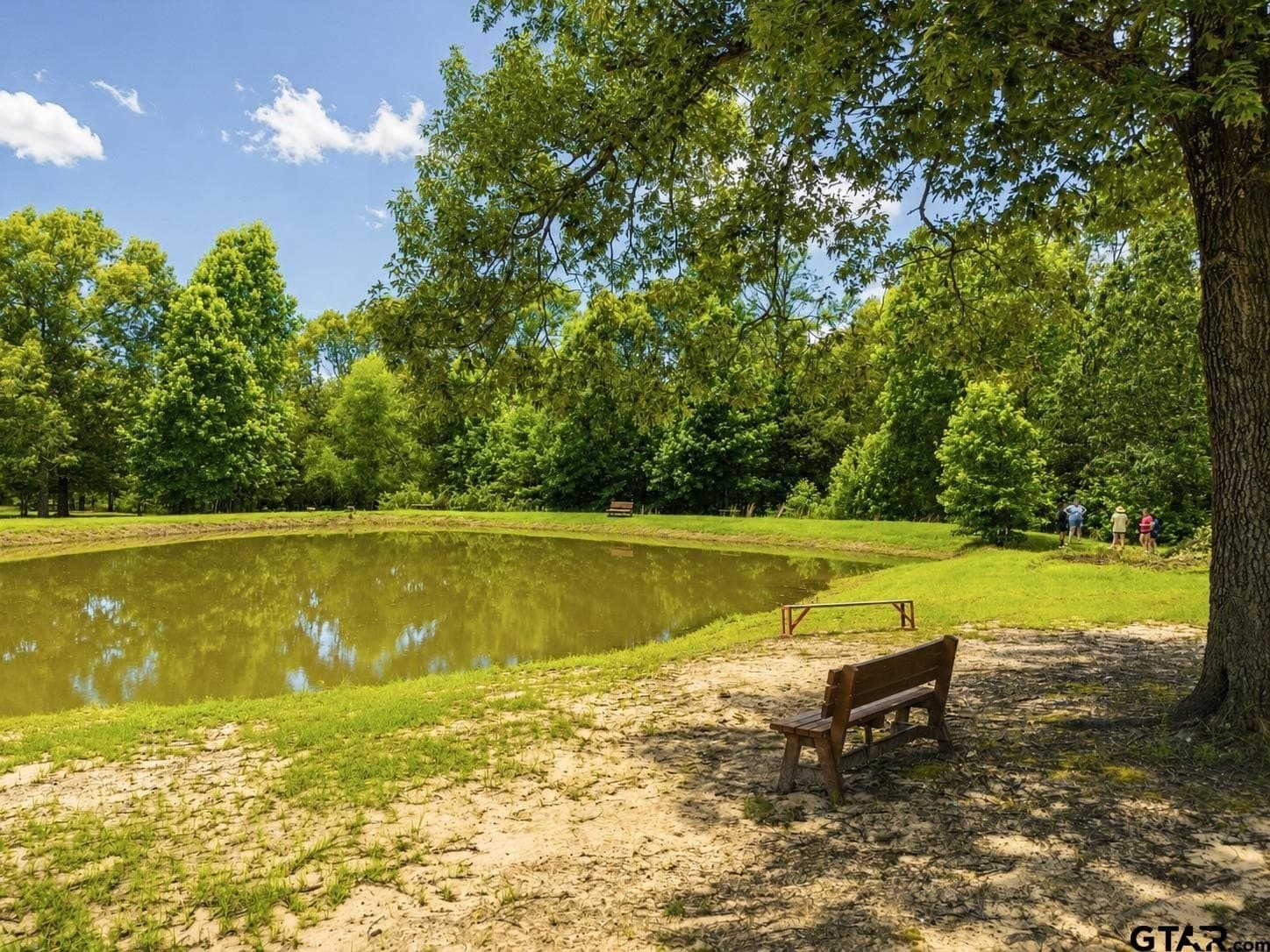 20 acres in Wood County gallery image 3