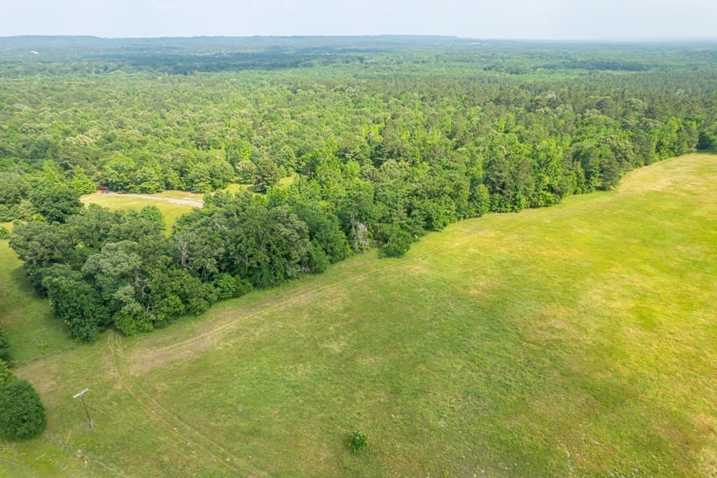 103.29 acres in ANDERSON County gallery image 4