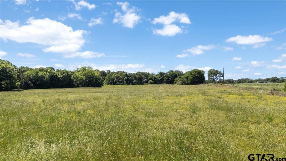 83 acres in Hopkins County - photo 17
