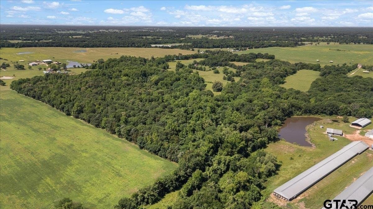 83 acres in Hopkins County - photo 8
