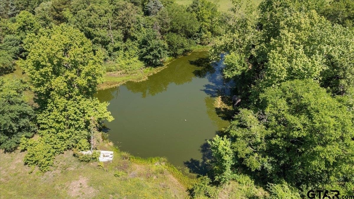 83 acres in Hopkins County - photo 12