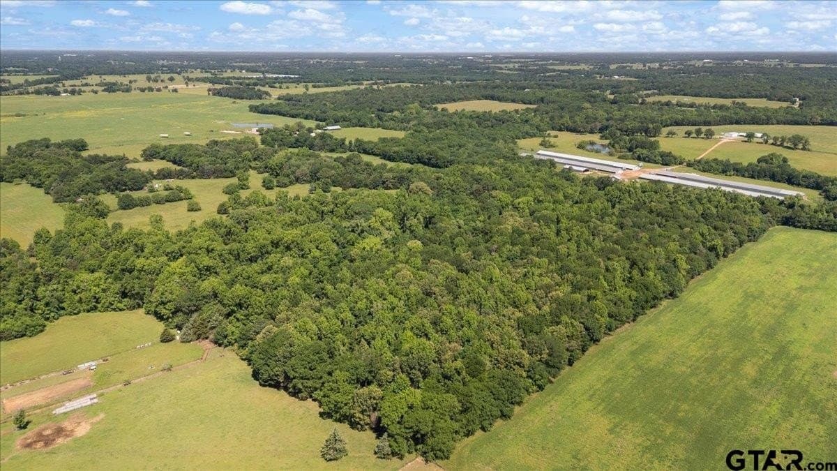 83 acres in Hopkins County - photo 6