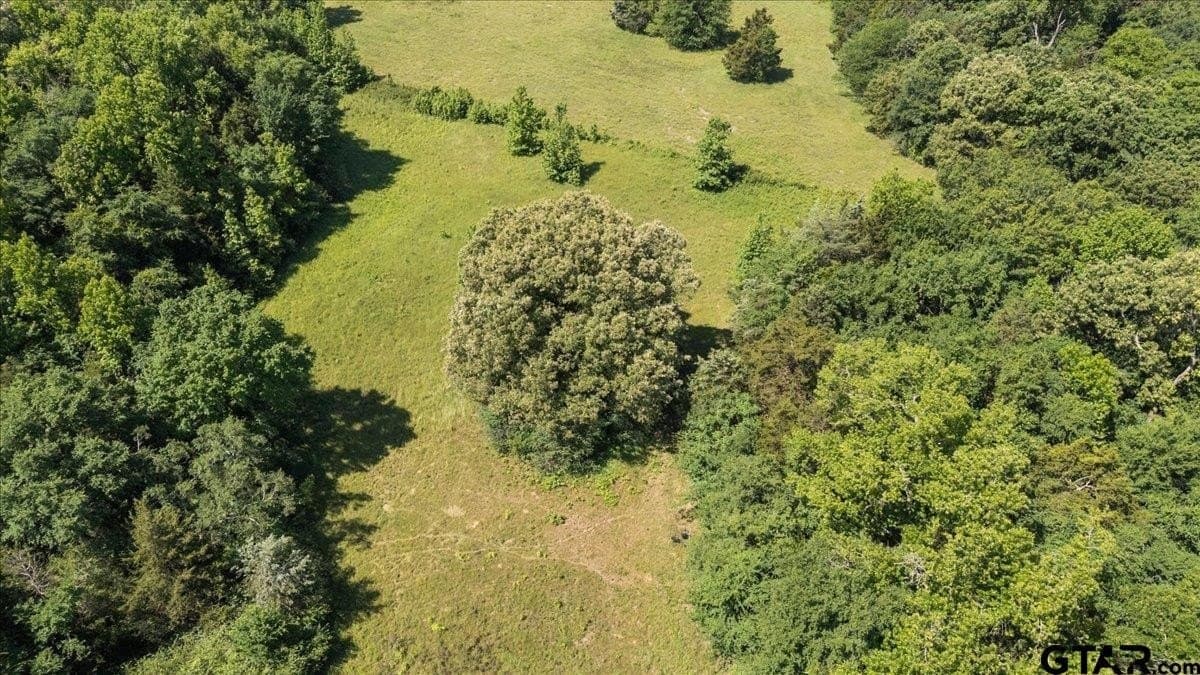 83 acres in Hopkins County - photo 9