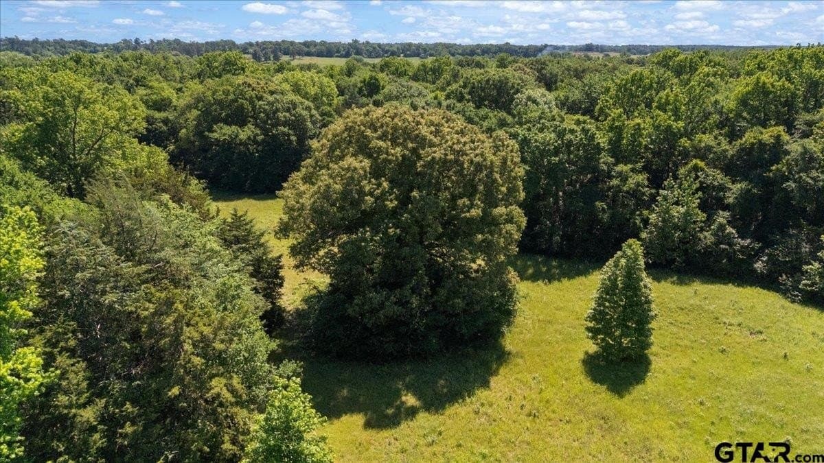 83 acres in Hopkins County - photo 10