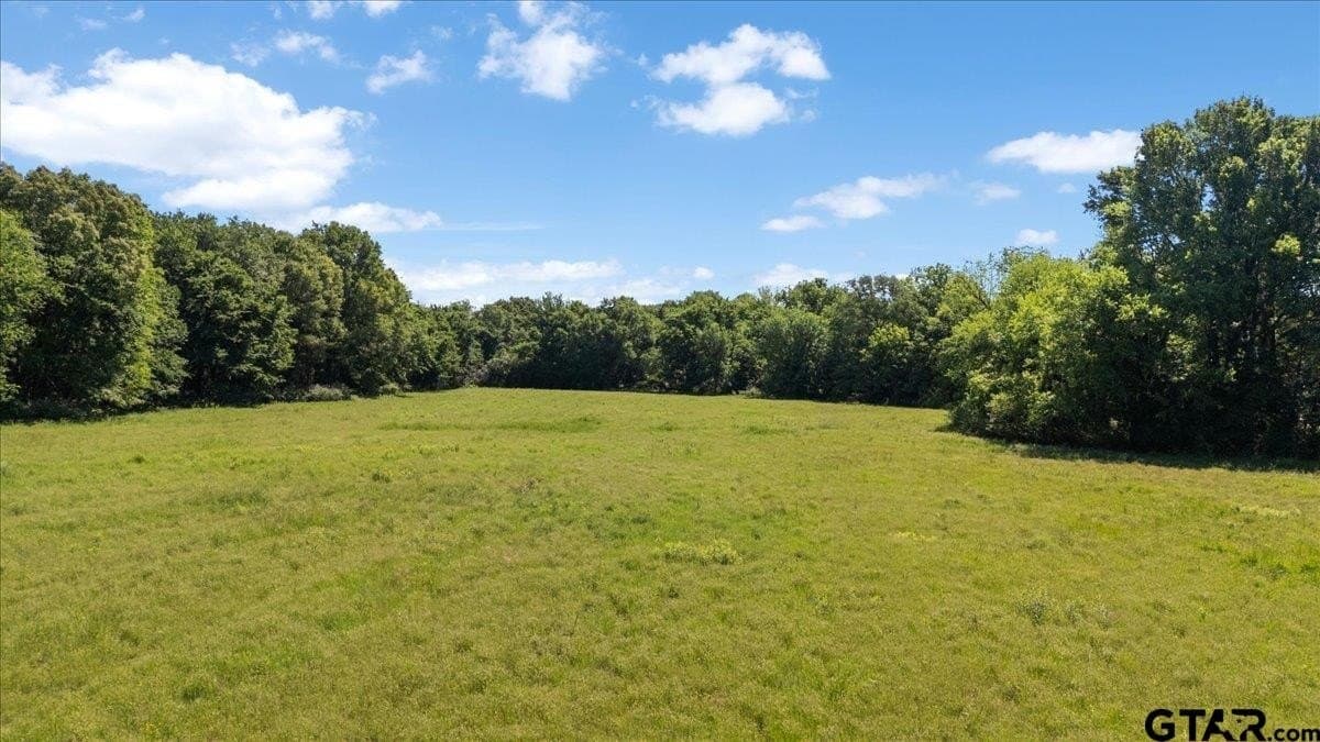 83 acres in Hopkins County - photo 13