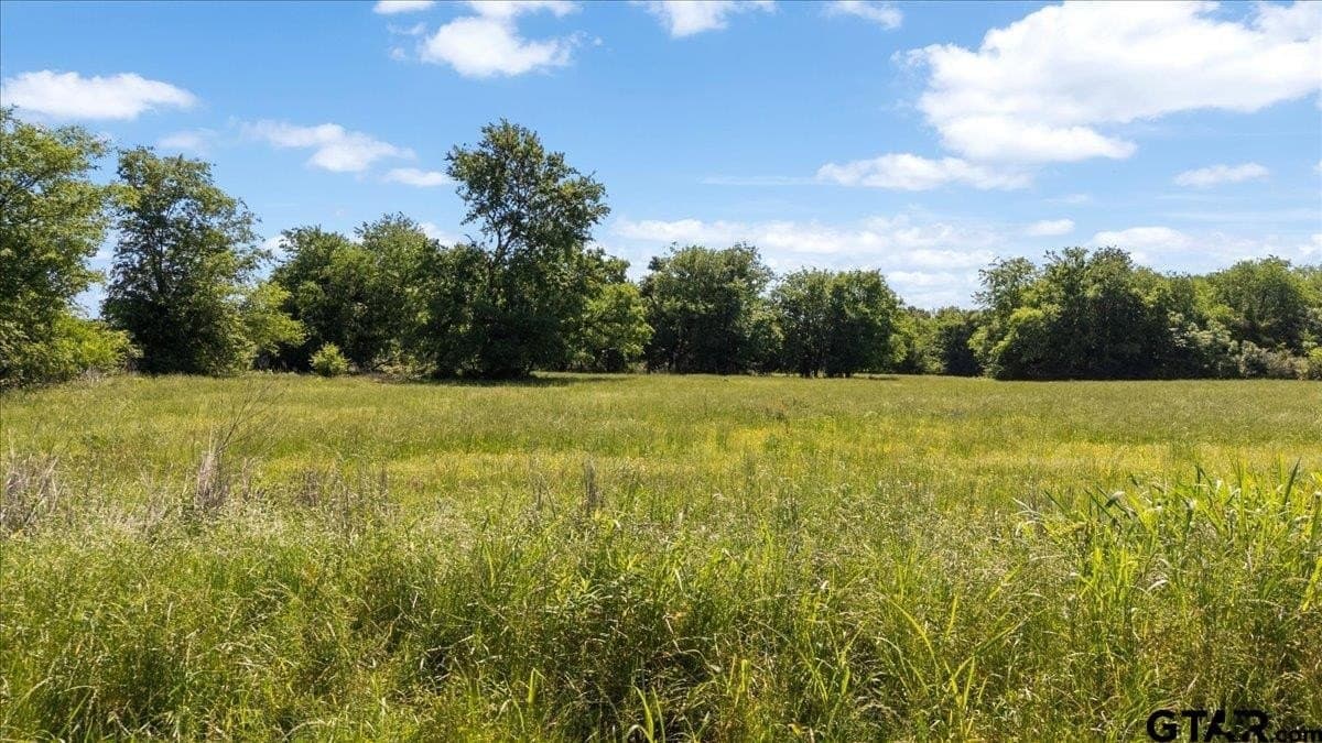 83 acres in Hopkins County - photo 19