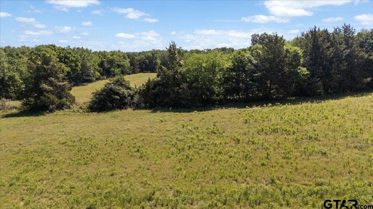 83 acres in Hopkins County - photo 18