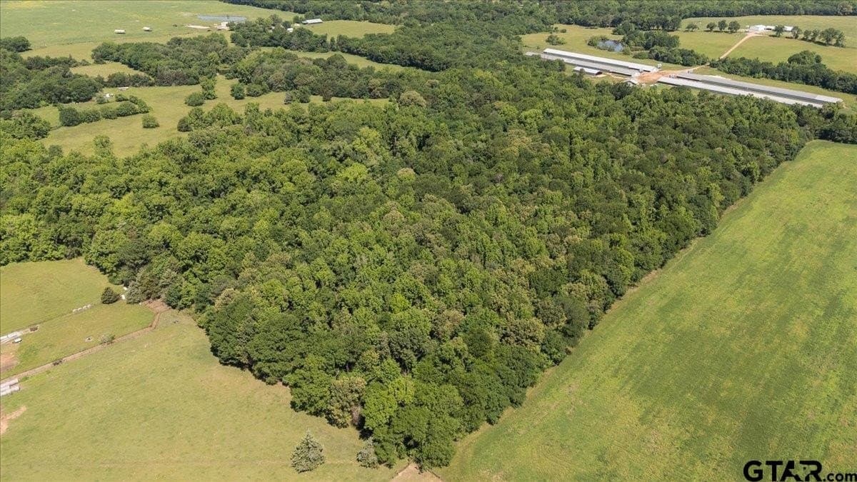 83 acres in Hopkins County - photo 7