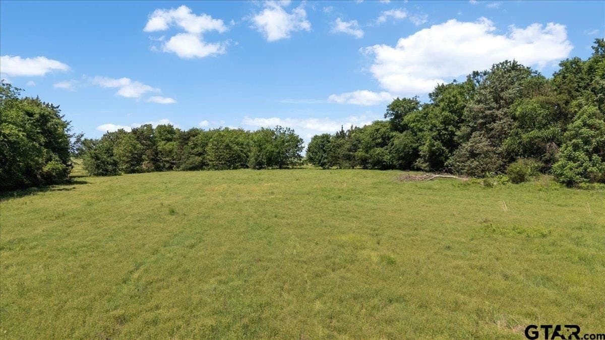83 acres in Hopkins County - photo 14
