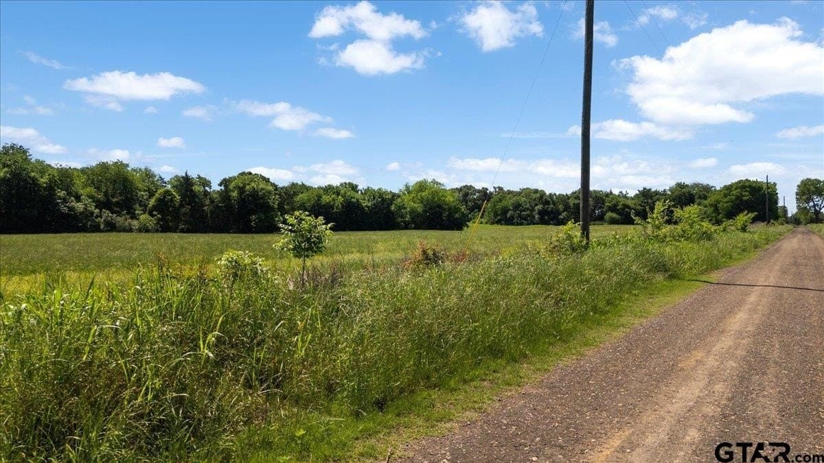 83 acres in Hopkins County - photo 20