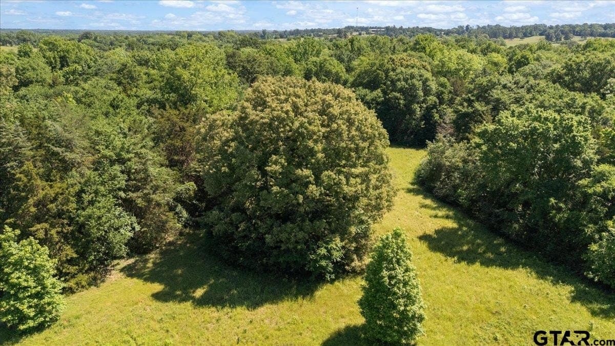83 acres in Hopkins County - photo 11