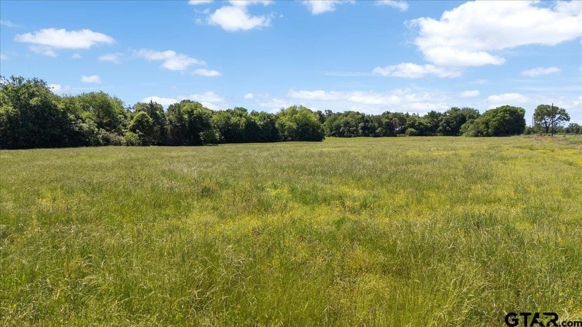 83 acres in Hopkins County - photo 16