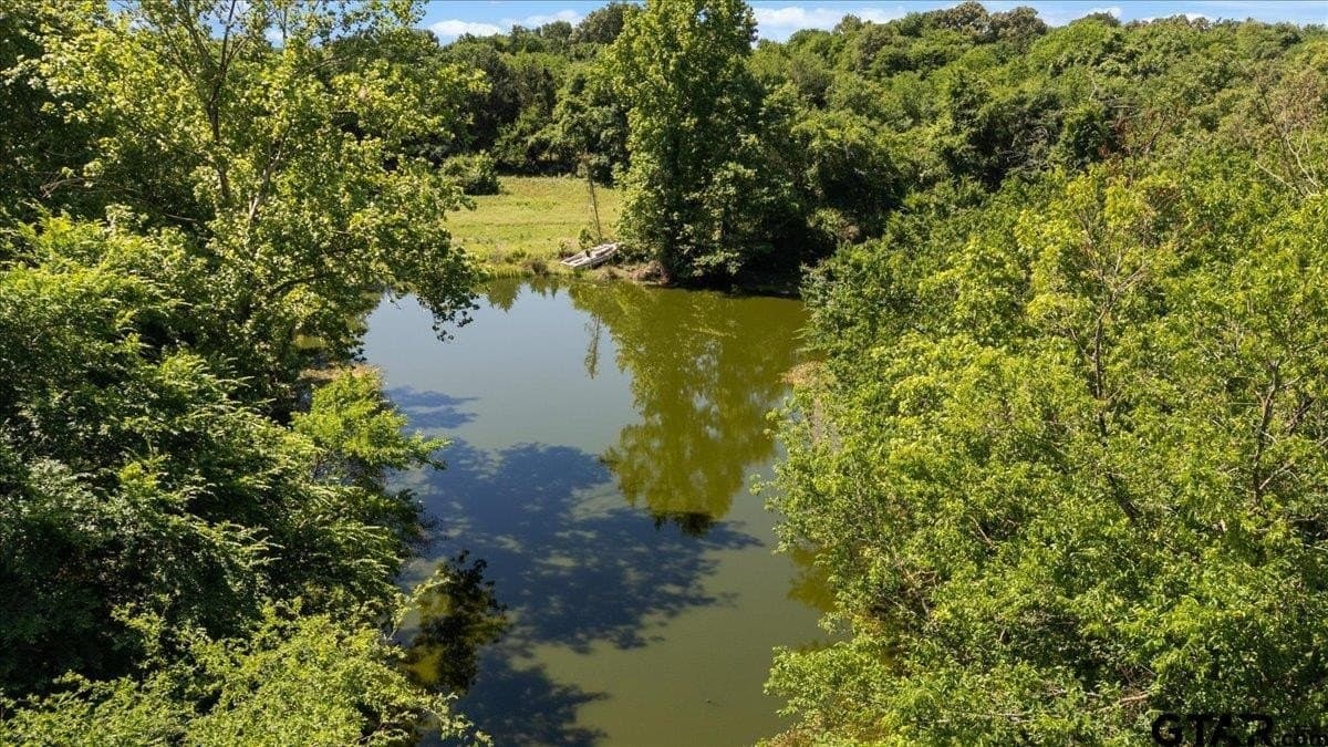 83 acres in Hopkins County - photo 15