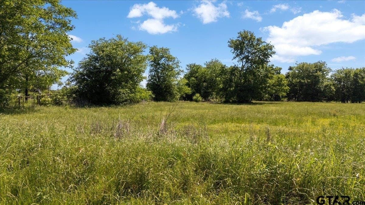 83 acres in Hopkins County - photo 21