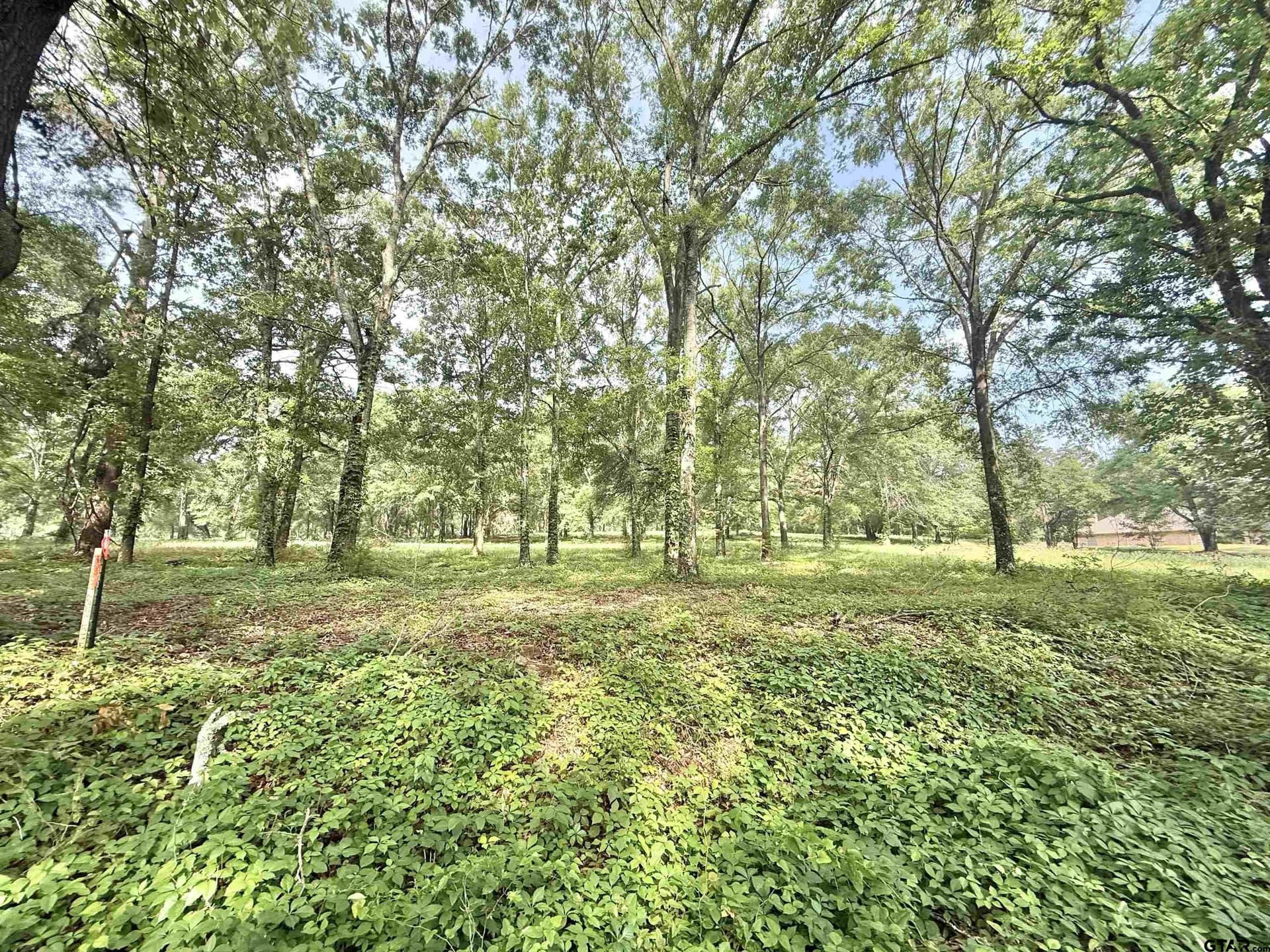 2.37 acres in Cherokee County gallery image 3