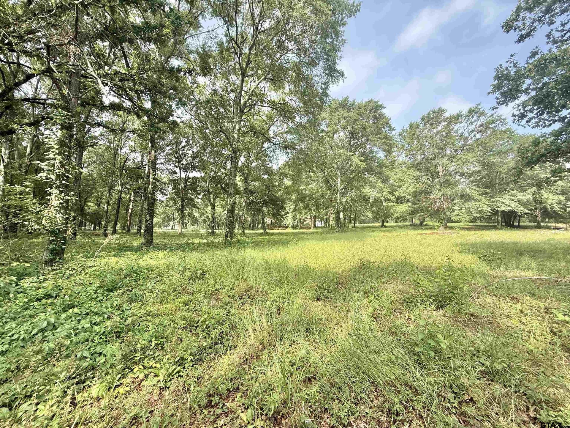 2.37 acres in Cherokee County gallery image 4