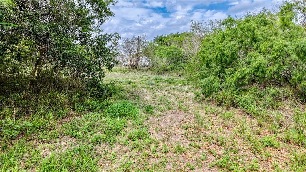 5.82 acres in Jim Wells County - photo 22