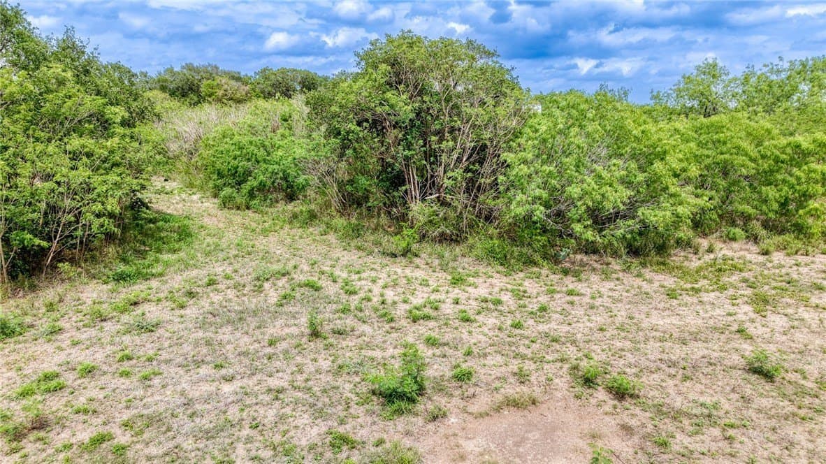 5.82 acres in Jim Wells County - photo 20