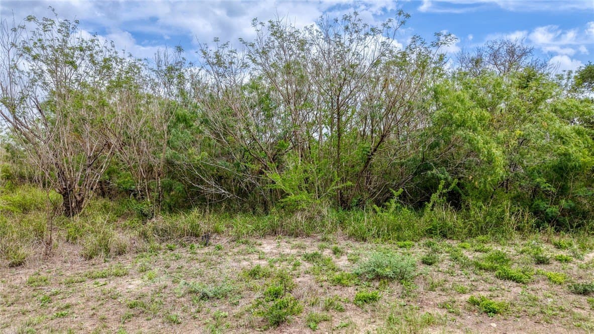 5.82 acres in Jim Wells County - photo 23