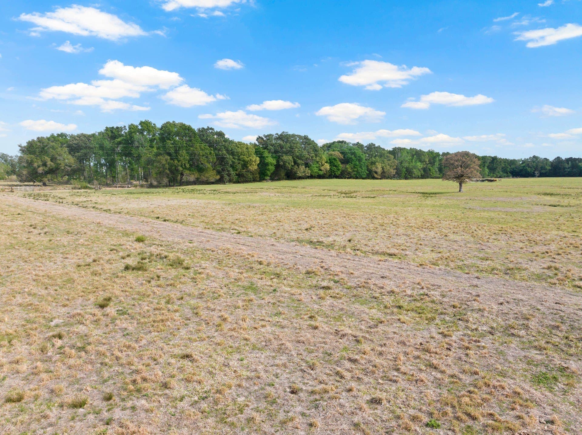 98.62 acres in Wood County - photo 10