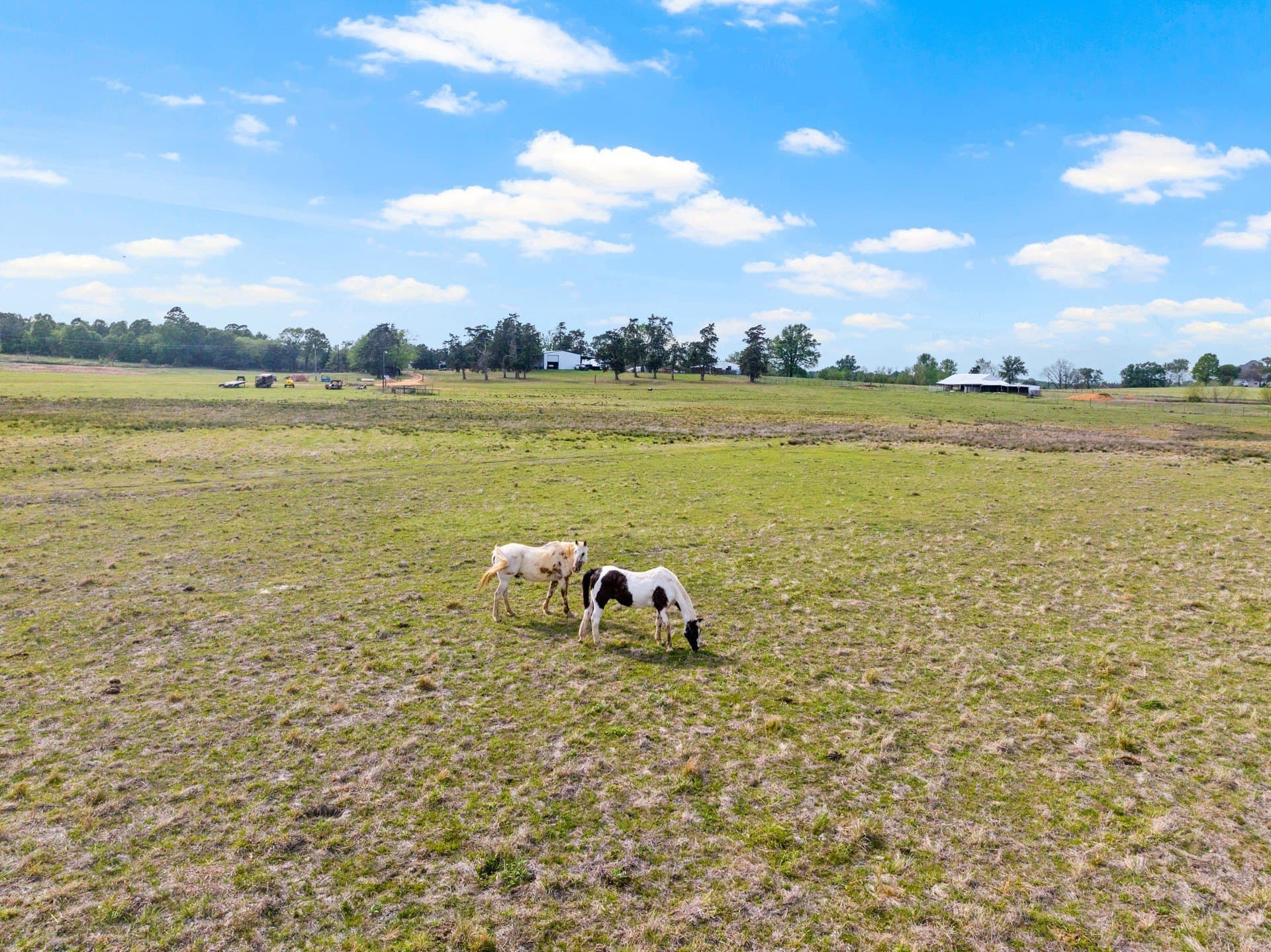 98.62 acres in Wood County - photo 11