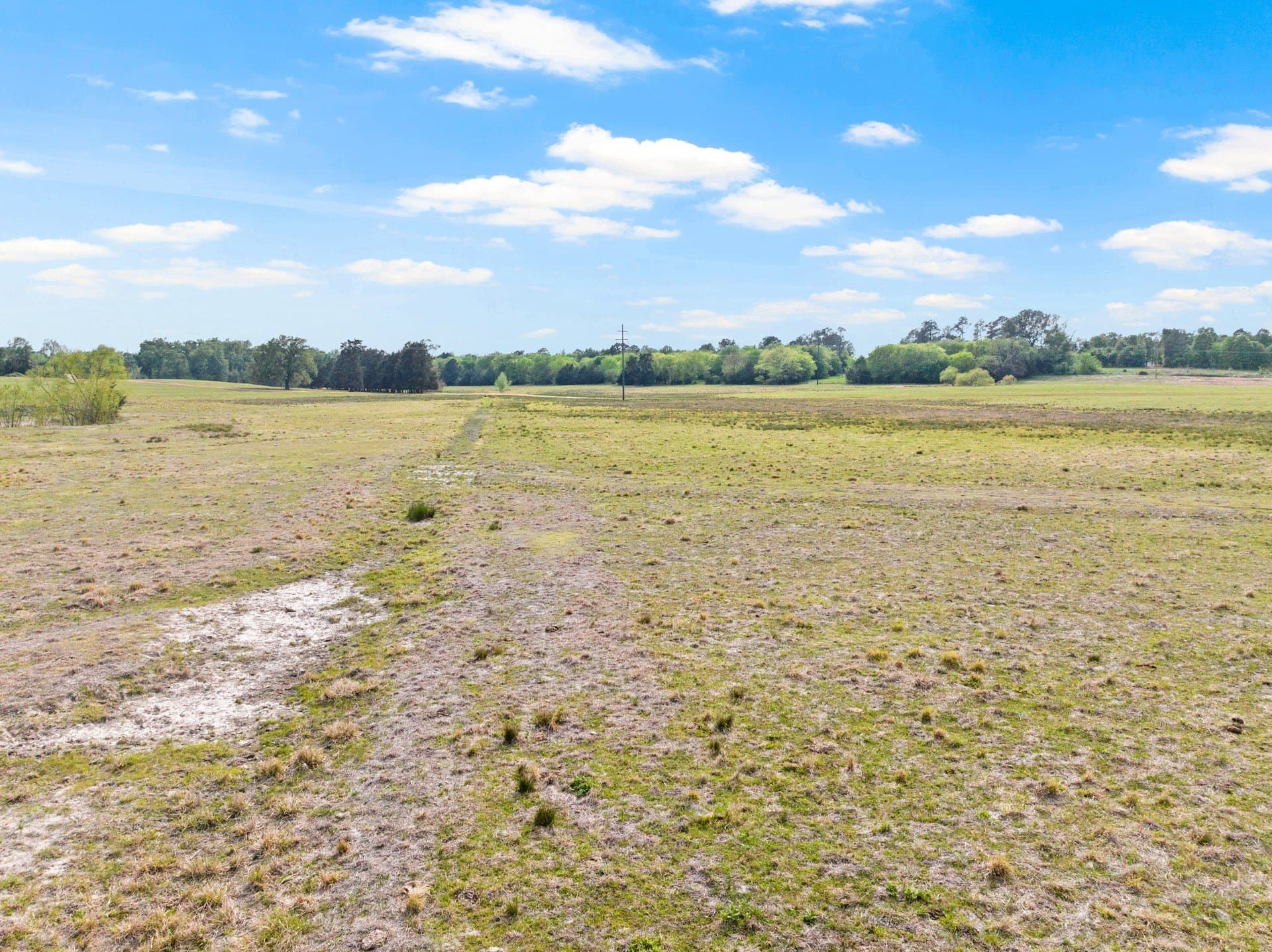 98.62 acres in Wood County - photo 9