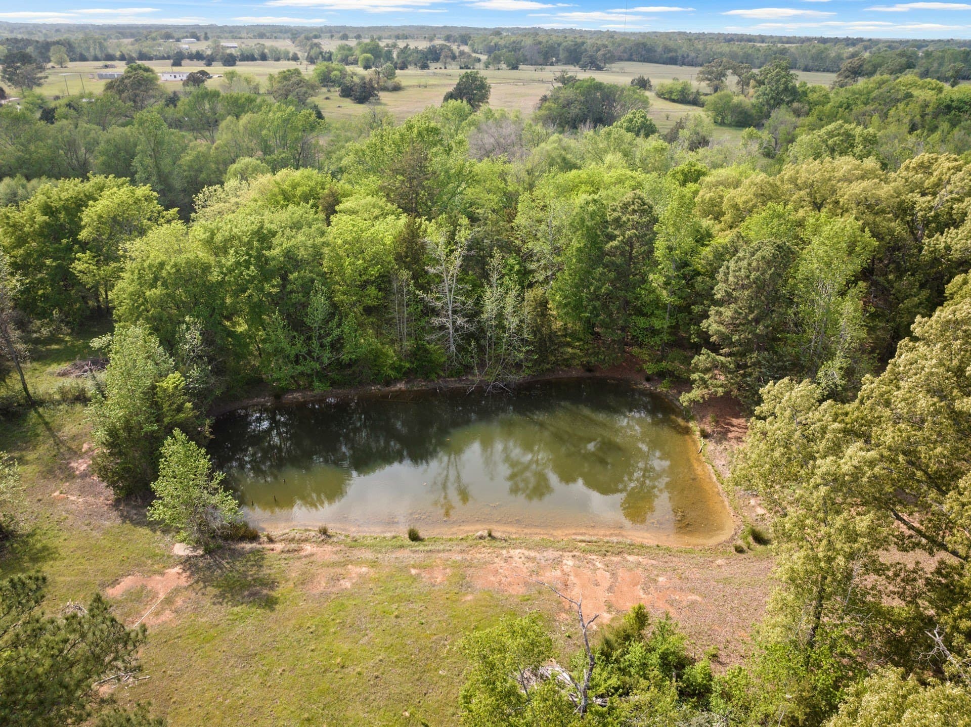 98.62 acres in Wood County - photo 18