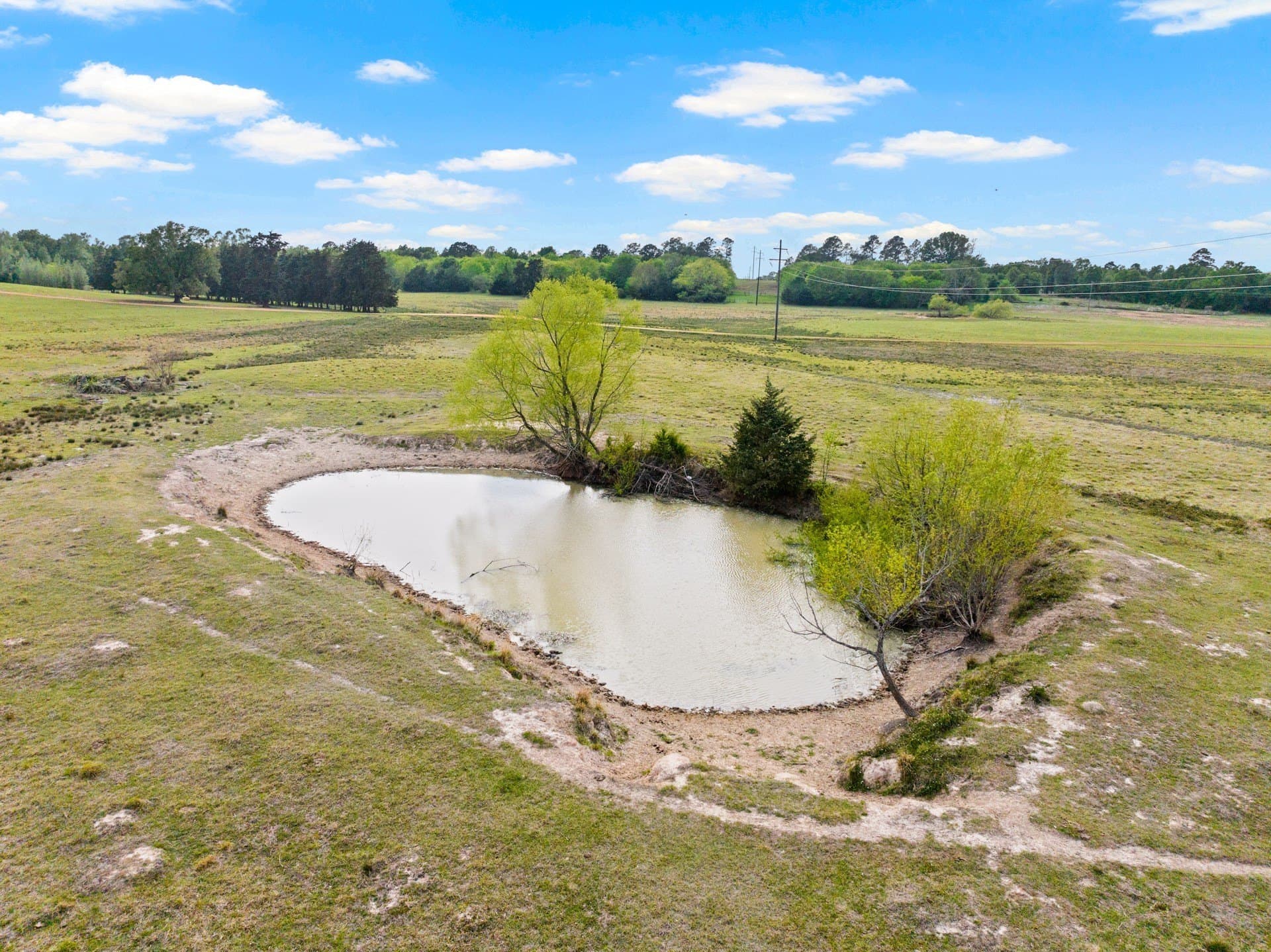 98.62 acres in Wood County - photo 16