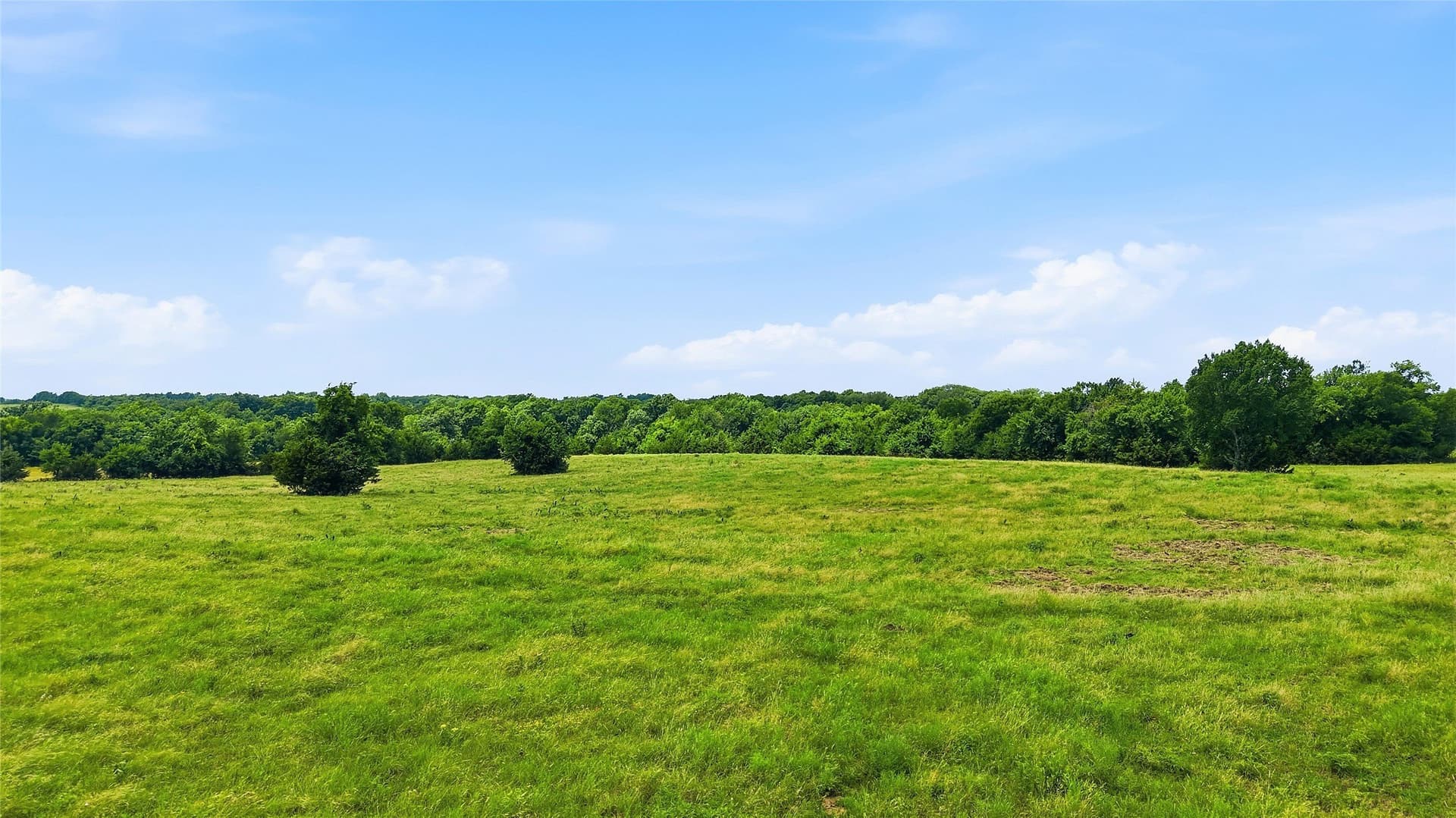 82.79 acres in Fannin County - photo 12