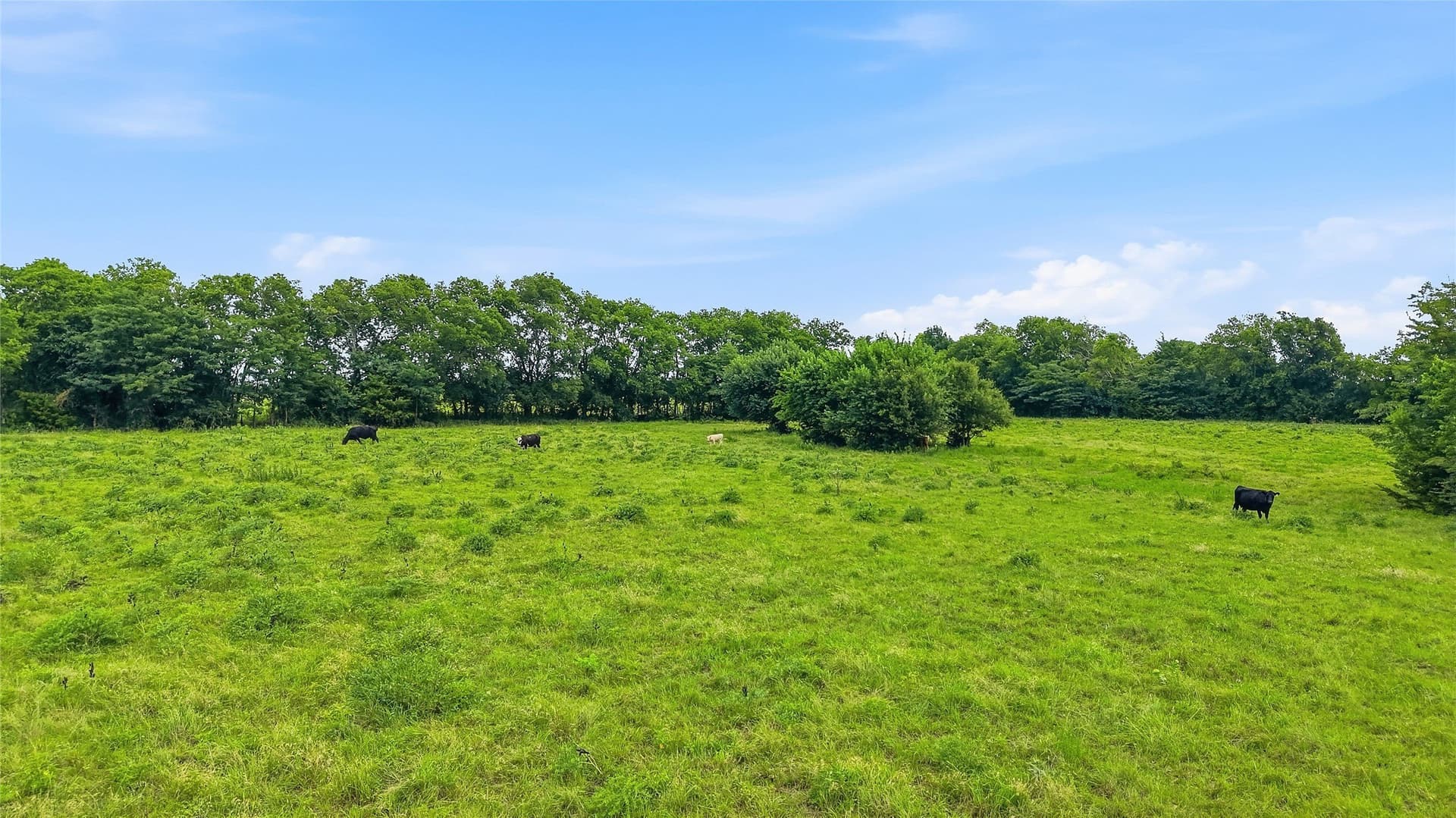 82.79 acres in Fannin County - photo 11