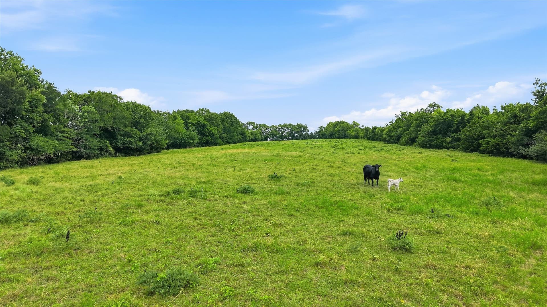 82.79 acres in Fannin County - photo 9