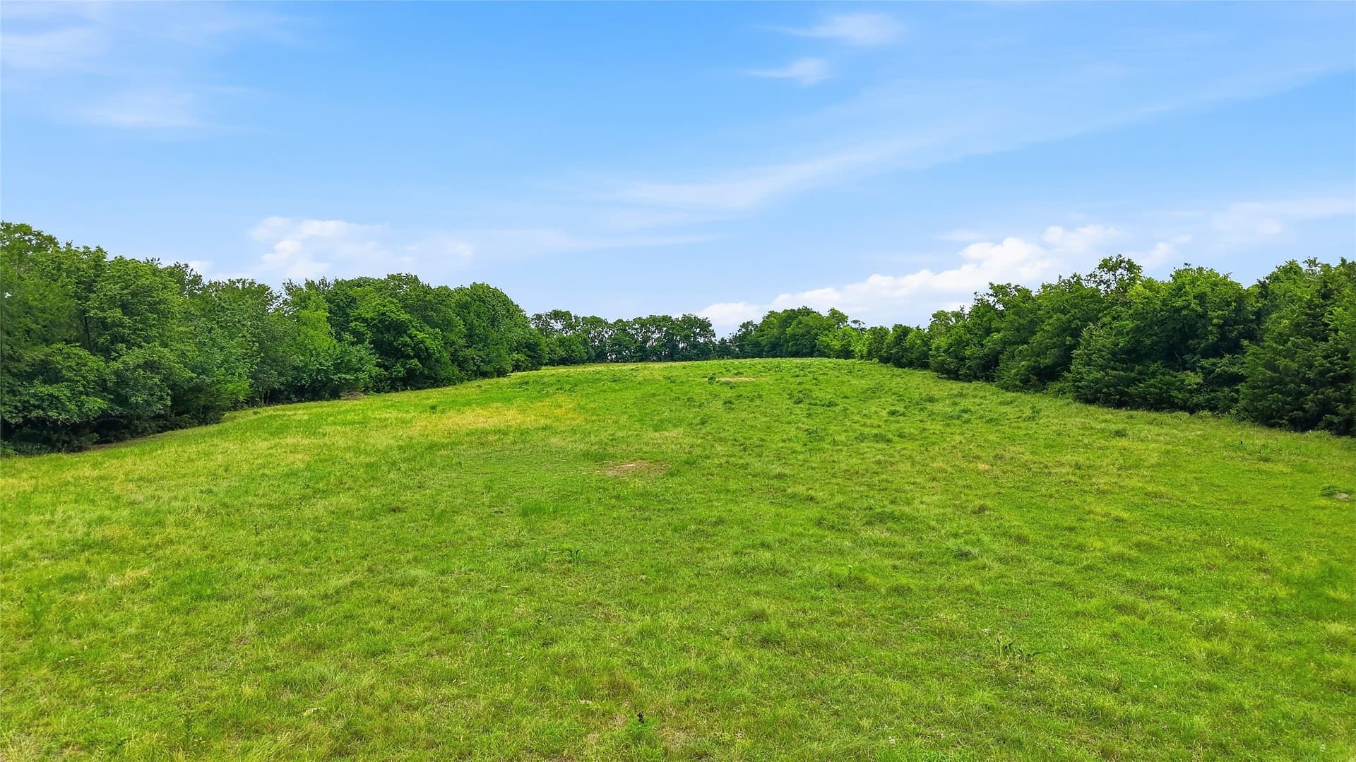 82.79 acres in Fannin County - photo 10